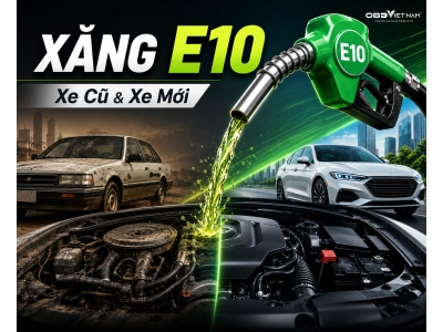 Xăng E10 Là Gì? Ảnh Hưởng Thế Nào Tới Động Cơ Ô Tô