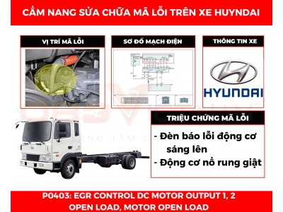 Cẩm Nang Sửa Chữa Mã Lỗi P0403: Egr Control Dc Motor Output 1,2 Open Load, Motor Open Load 