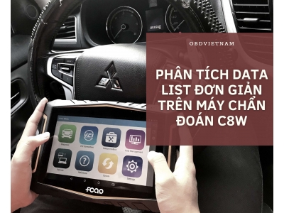 Phân Tích Data List Đơn Giản Trên Máy Chẩn Đoán C8W