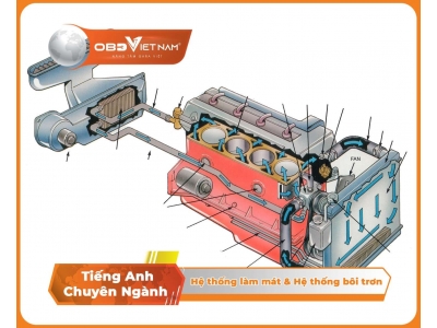 Tiếng Anh Chuyên Ngành Ô Tô - Phần 3 – Hệ Thống Làm Mát Và Hệ Thống Bôi Trơn