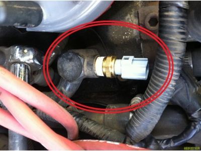 Phân Tích Mã Lỗi P0217 Trên Động Cơ Hyundai D6CA Euro 4 2010