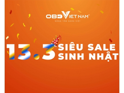 13.3 – OBD Việt Nam Sale Sinh Nhật