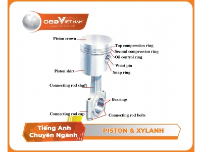 Tiếng anh ô tô qua hình ảnh (phần 23) - piston & xylanh