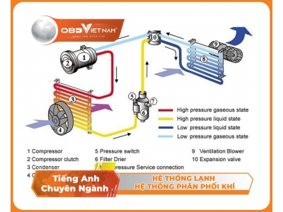 Tiếng anh ô tô qua hình ảnh ( phần 8 ) - Hệ thống lạnh-phân phối khí- túi khí
