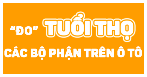Infographic - Đo Tuổi Thọ Các Bộ Phận Trên Ô Tô