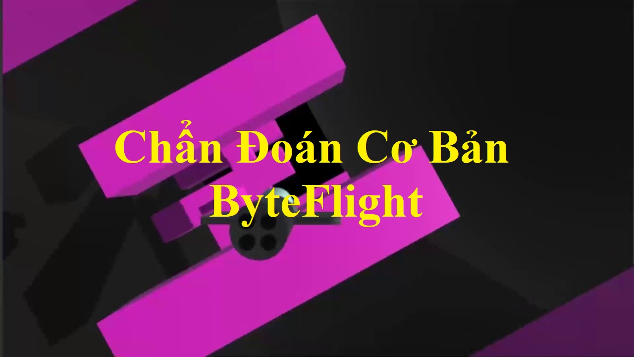 Chẩn Đoán Cơ Bản - Byteflight