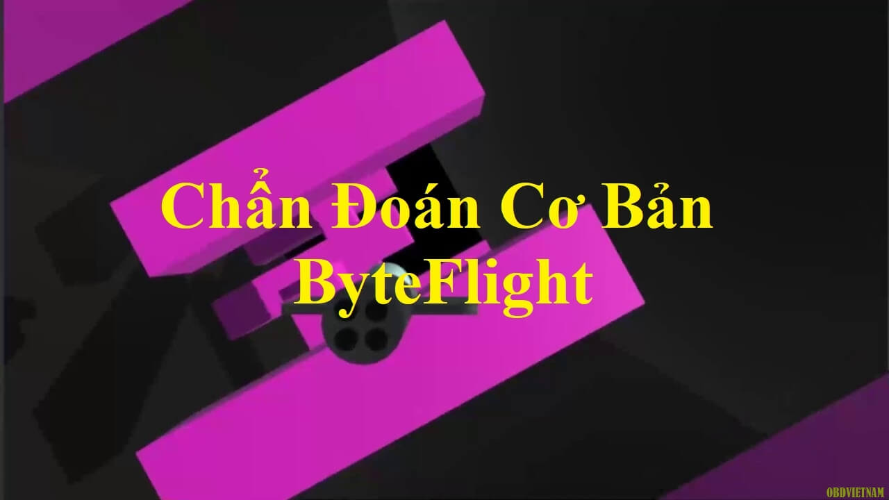 chan-doan-co-ban-byteflight-1