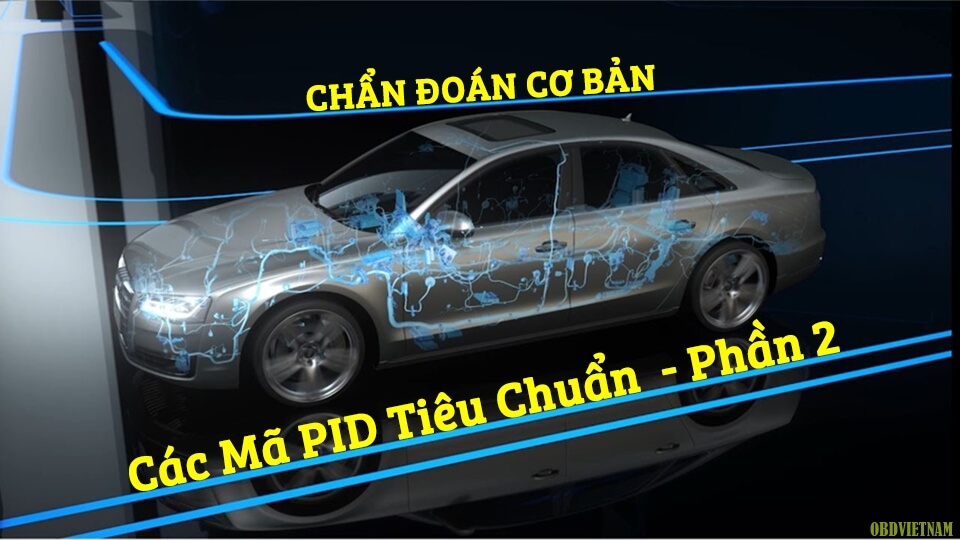 chan-doan-co-ban-cac-ma-pid-tieu-chuan-phan-2
