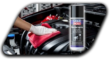 chai-xit-chong-chuot-liqui-moly-1515-obdvietnam6