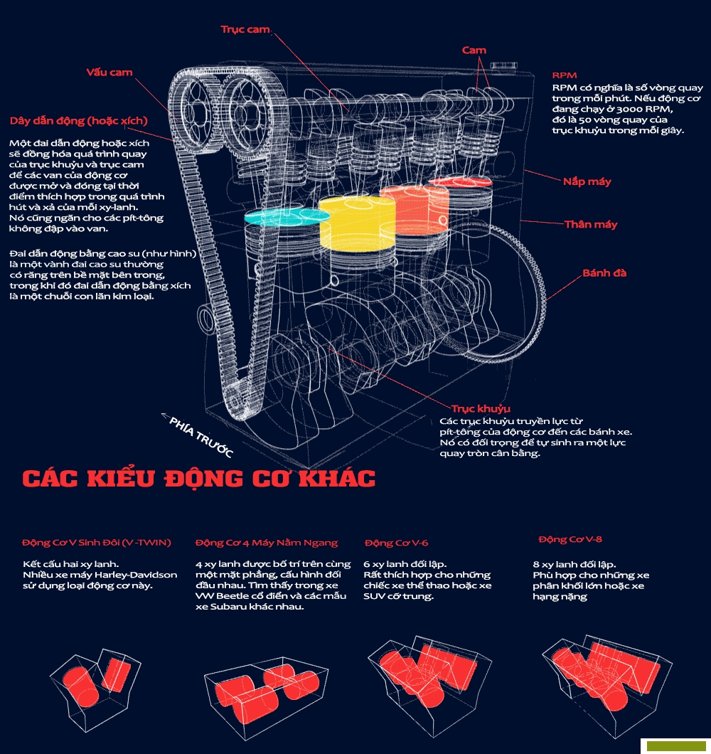 infographic-cau-tao-co-ban-cua-dong-co