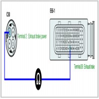 Hình 8: Đo điện trở giữa cực 2 của đầu giắc van phanh khí xả và cực 36 của giắc ETCM