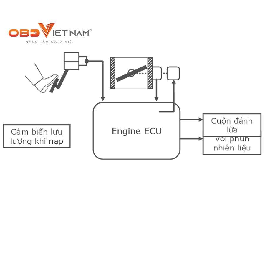 chia-se-do-an-khao-sat-he-thong-danh-lua-dong-co-2gr-fe-tren-xe-camry-2007-obdvietnam4