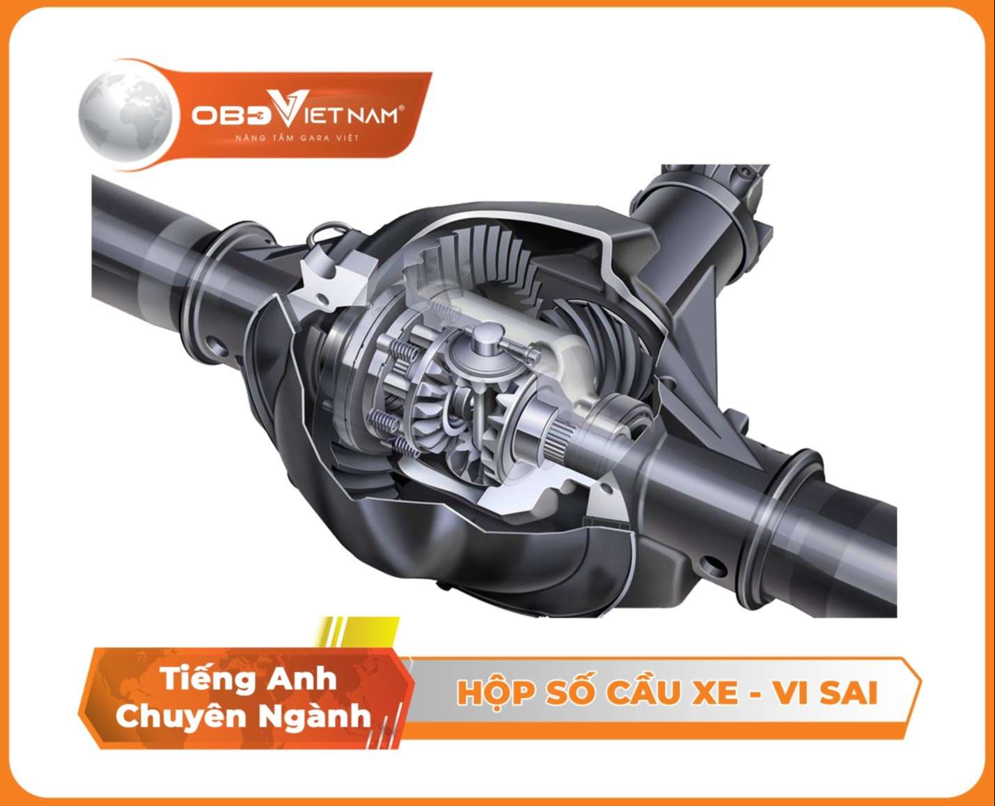 tieng-anh-chuyen-nganh-o-to-phan-12-cau-xe-vi-sai-obd-viet-nam