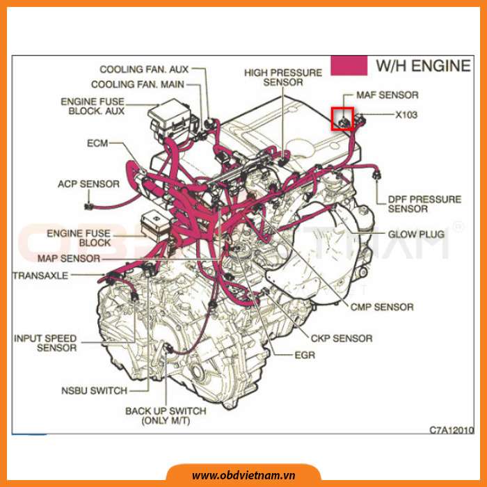 cam-nang-sua-chua-ma-loi-p0100-obd-viet-nam1