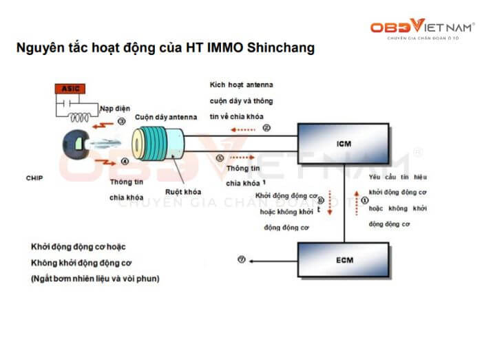chia-se-tai-lieu-mien-phi-he-thong-immo-obdvietnam (1)3