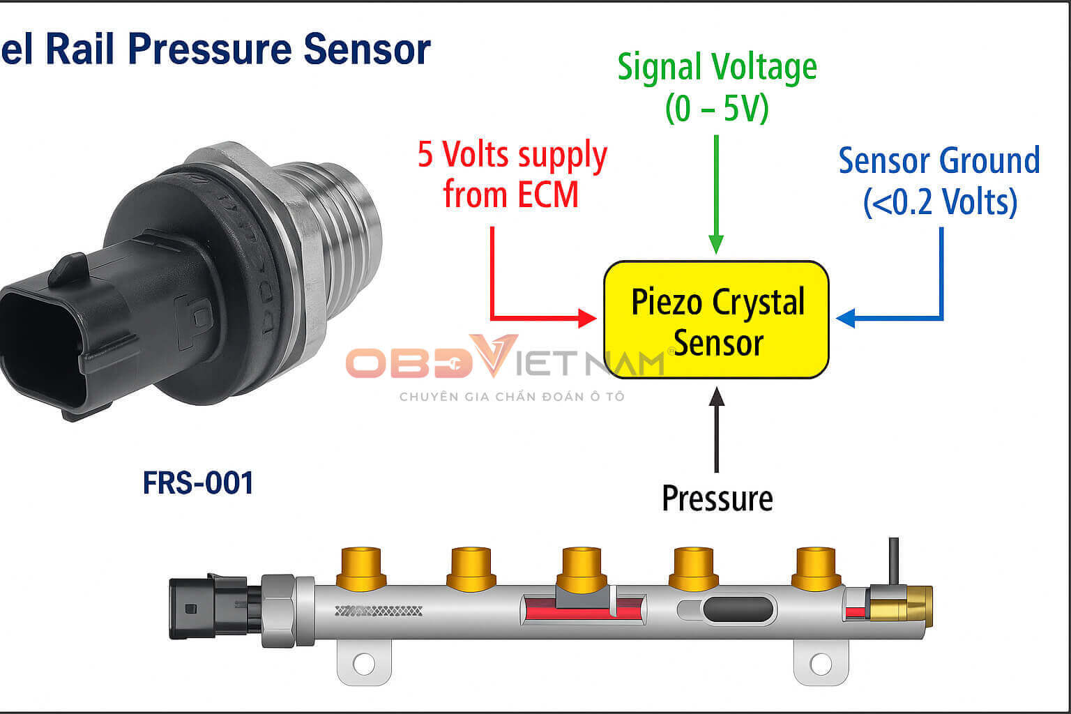 cau-tao-va-nguyen-ly-hoat-dong-cua-he-tong-common-rail-obdvietnam (1)
