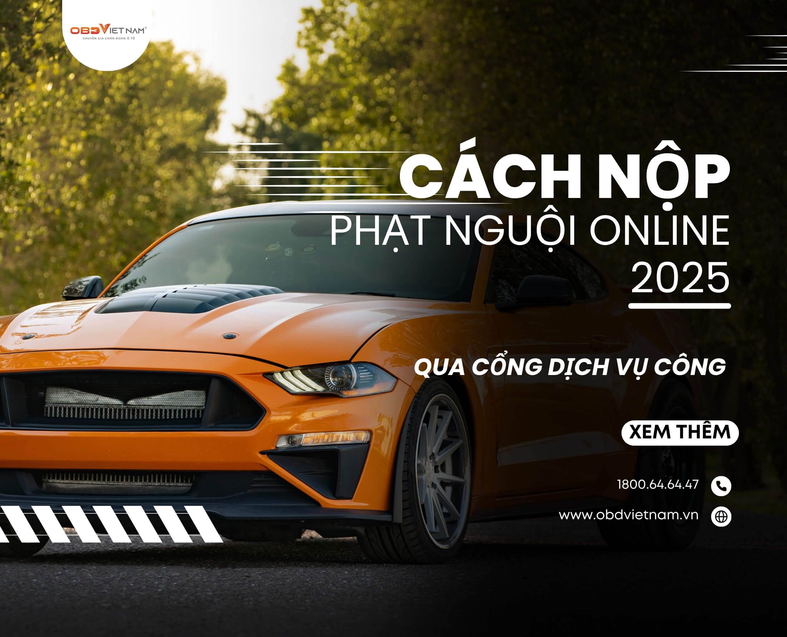 cach-nop-ơhat-nguoi-online-nhanh-chong-qua-cong-dich-vu-cong-obdvietnam (1)