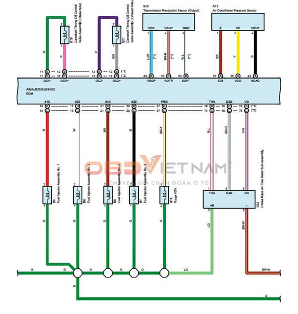 cach-tiep-can-tai-lieu-o-to-chau-au-cho-tho-viet (1)